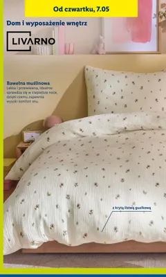 Katalog, strona 29 promocja w Lidl