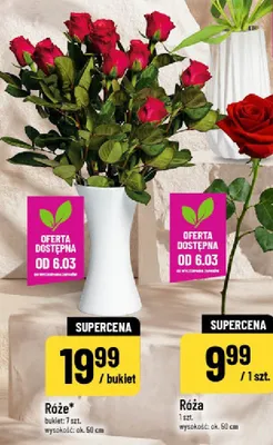 Róża promocja w POLOmarket