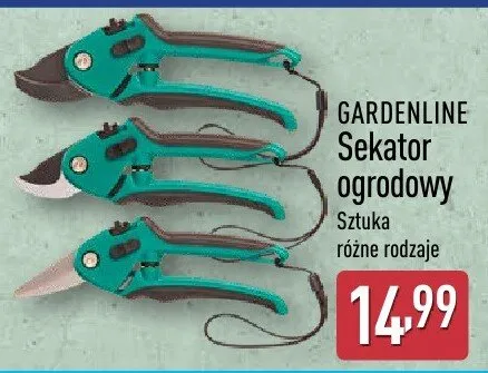 Sekator ogrodowy sztuka promocja w Aldi
