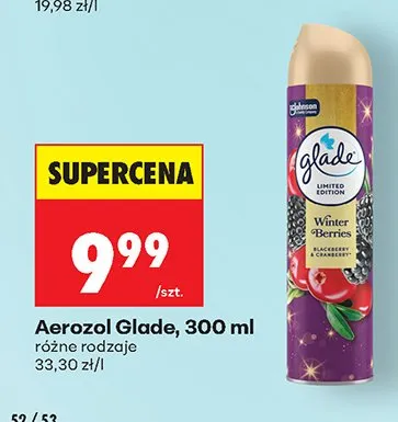 Aerozol różne rodzaje promocja w Biedronka