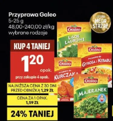 Przyprawa do gyrosa i kebabu Galeo promocja w Delikatesy Centrum