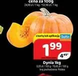 Dynia promocja w Delfin