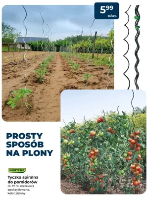Tyczka spiralna do pomidorów NORTENE dł. 1,7m metalowa epoksydowana kolor zielony promocja w PSB Mrówka