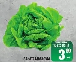 Sałata masłowa promocja w Tomi Markt