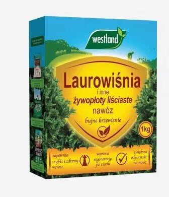 Nawóz do laurowiśni promocja w Castorama
