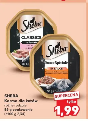 Karma dla kotów Sheba Classics promocja w Kaufland