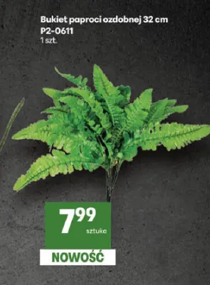 Bukiet paproci ozdobnej 32 cm P2-0611 promocja w Delikatesy Centrum