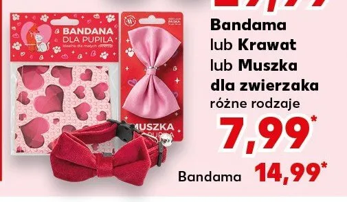 Bandama lub Krawat lub Muszka dla zwierzaka różne rodzaje promocja w Kaufland