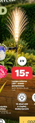 Lampa solarna LED trawa pampasowa IP44 2V 10 diod LED wym. 10x6,5x74cm promocja w Netto