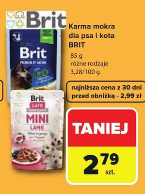 Karma mokra dla psa i kota Brit promocja w Carrefour
