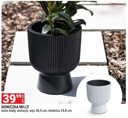 Doniczka Milly kolor biały antracyt wys 36,5cm średnica 29,8cm promocja w Merkury Market