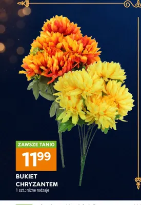 Bukiet chryzantem promocja w Stokrotka