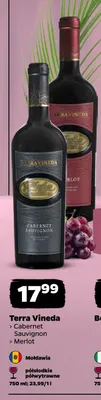 Wino czerwone Terra Vineda Cabernet Sauvignon promocja w Netto