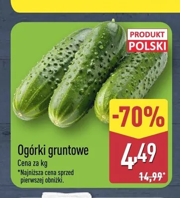 Ogórki gruntowe promocja w Aldi