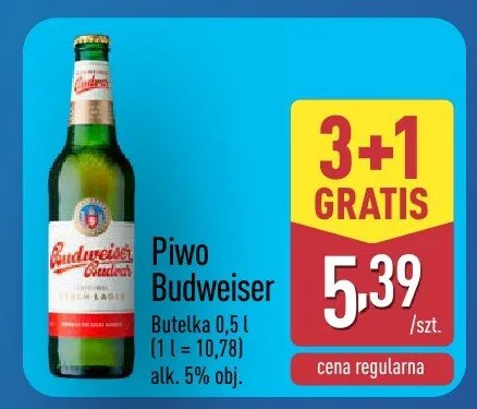 Piwo Budweiser promocja w Aldi