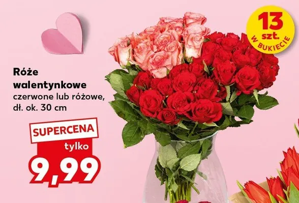 Róże walentynkowe czerwone lub różowe promocja w Kaufland