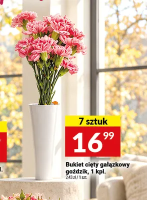 Bukiet cięty gałązkowy goździk promocja w Twój Market