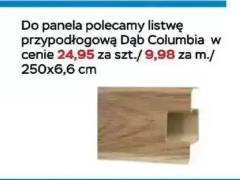 Listwa przypodłogowa Dąb Columbia promocja w Abra Meble