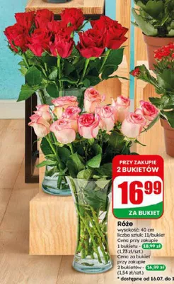 Róże cięte bukiet promocja w Dino