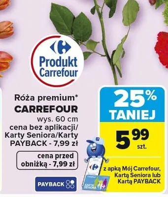 Róża premium promocja w Carrefour