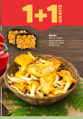 Kurka promocja w Netto