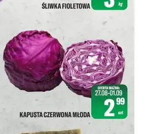 Kapusta czerwona młoda promocja w Tomi Markt