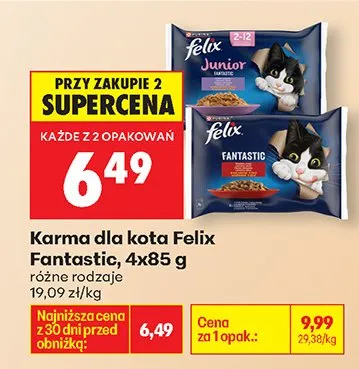 Karma dla kota Fantastic, różne rodzaje promocja w Biedronka