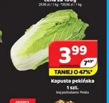 Kapusta pekińska promocja w Delfin