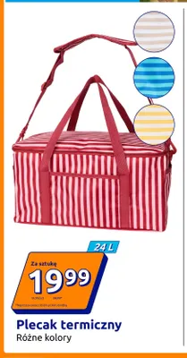 Plecak termiczny 24 l promocja w Action