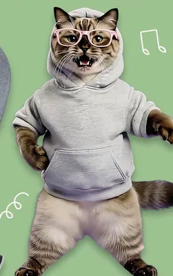 Oferta Kaufland - Non Food, strona 18 promocja w Kaufland