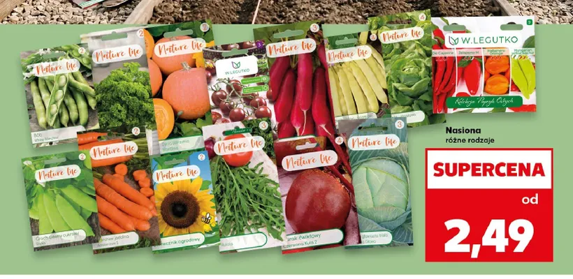 Nasiona promocja w Kaufland