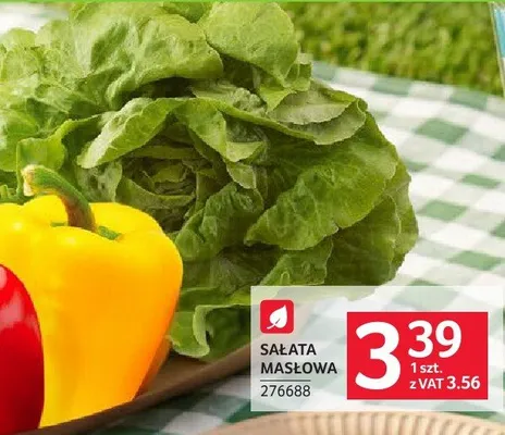 Sałata masłowa promocja w Selgros