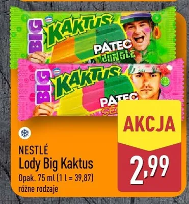Lody Big Kaktus Nestlé promocja w Aldi