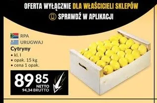 Cytryny promocja w Makro