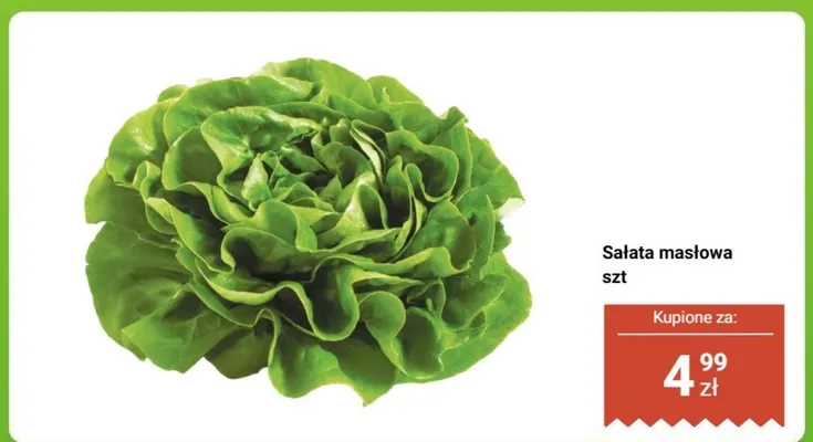 Sałata masłowa promocja w Dino