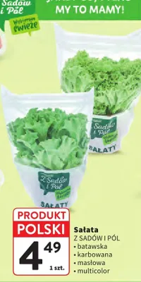 Sałata batawska promocja w Intermarche