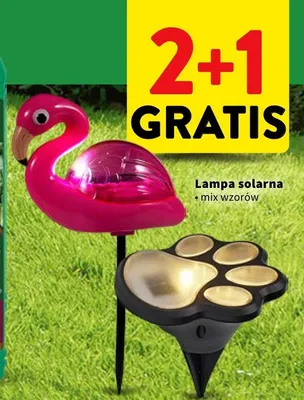Lampa solarna mix wzorów promocja w Intermarche