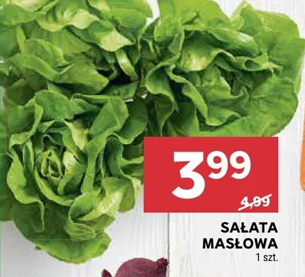Sałata masłowa promocja w Stokrotka