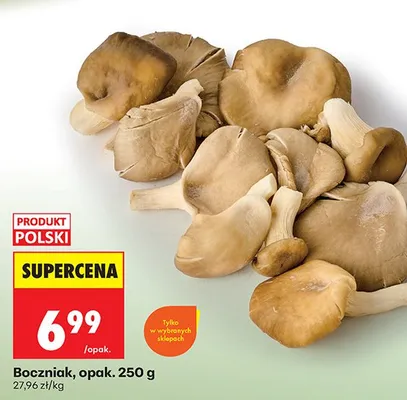 Boczniak promocja w Biedronka
