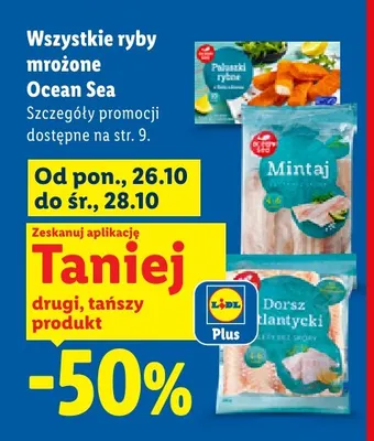 Paluszki rybne Ocean Sea promocja w Lidl
