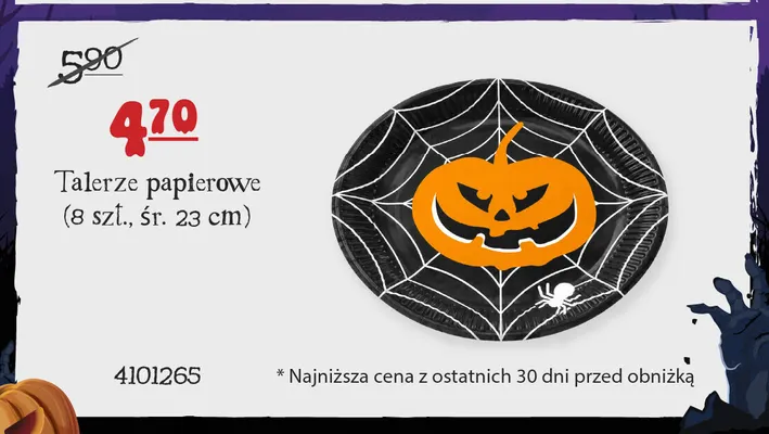 Talerze papierowe śr. 23 cm promocja w MR. DIY