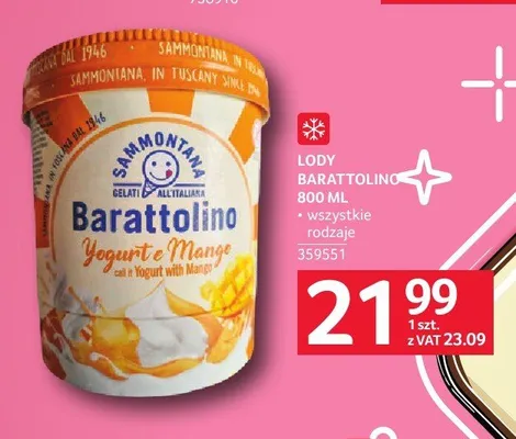 Lody Sammontana Barattolino Yogurt e Mango promocja w Selgros