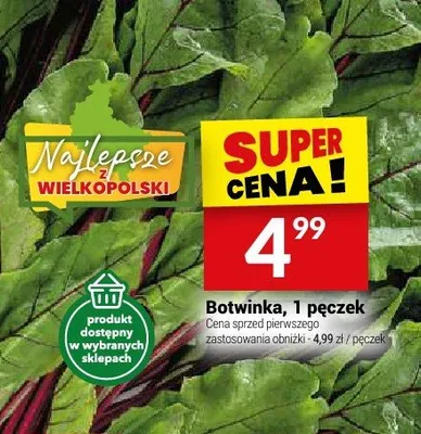 Botwinka 1 pęczek promocja w Twój Market