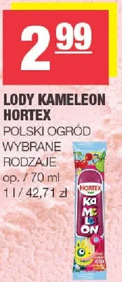 Lody kameleon Hortex Polski Ogród wybrane rodzaje promocja w SPAR
