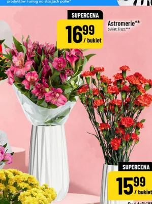 Astromerie promocja w POLOmarket