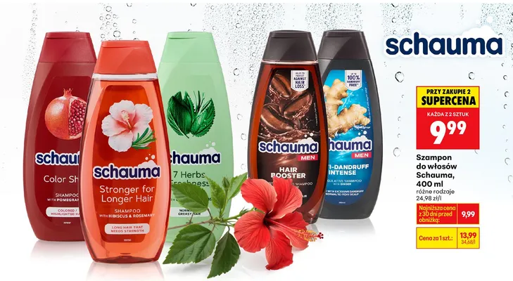 Szampon do włosów promocja w Biedronka