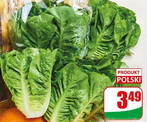 Sałata rzymska mini promocja w Dino