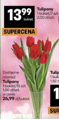 Tulipany promocja w Delikatesy Centrum