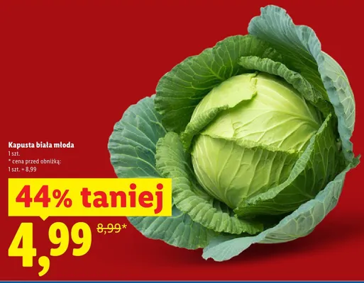 Kapusta biała młoda promocja w Lidl