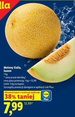 Melony Galia luzem promocja w Lidl
